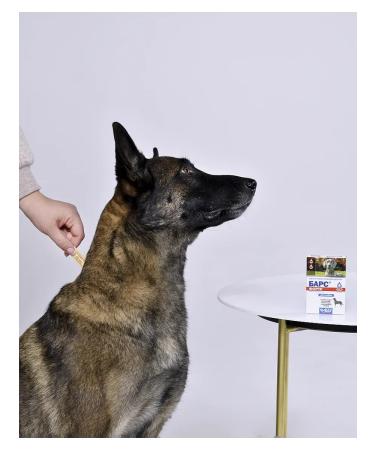 AVZ Bars Forte Drops for Dogs (4 Pipettes) - Buy Online on GoSupps.com