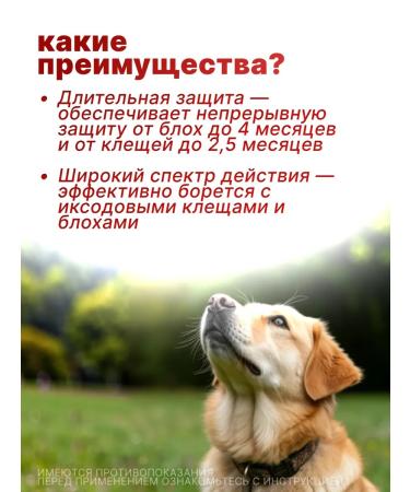 Elanco Bolfo collar for large dogs 70 cm - Buy Online on GoSupps.com