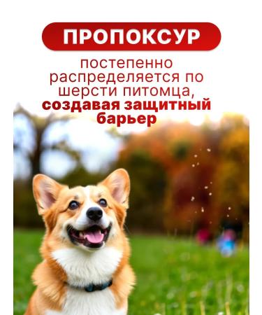 Elanco Bolfo collar for large dogs 70 cm - Buy Online on GoSupps.com