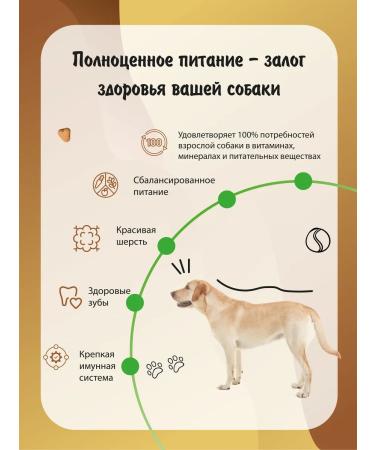 DILLY Dry food for dogs beef goulash with vegetables 14 kg - Buy Online on GoSupps.com