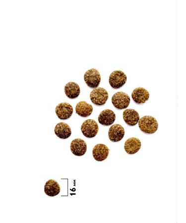 Brit Care British dry food for dogs of medium breeds tooth health 1.5kg - Buy Online on GoSupps.com