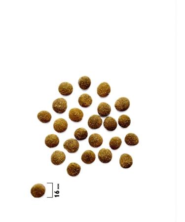 Brit Care British feed for dogs with sensitive digestion 3kg - Buy Online on GoSupps.com