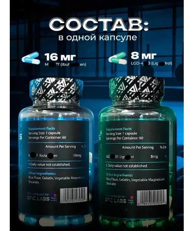 Epic Labs Set Bound MK 6 7 7 LGD 40 3 3 mass - Buy Online on GoSupps.com