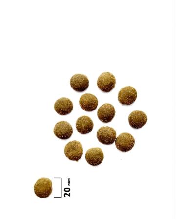 Brit Care British feed for dogs of large breeds 3kg - Buy Online on GoSupps.com