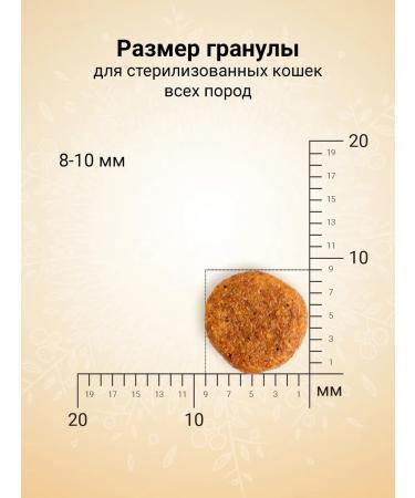 CRAFTIA Dry food for cats made of lamb with venison 4.5 kg - Buy Online on GoSupps.com