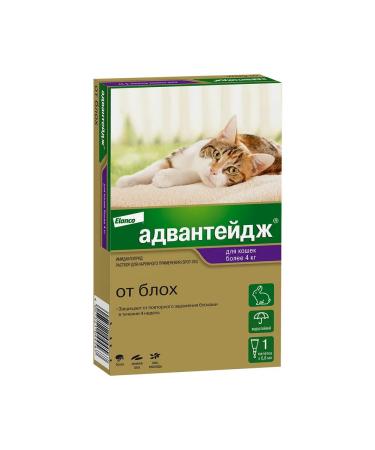 Elanco Advantej of fleas drops for cats of more than 4 kg 1 peep