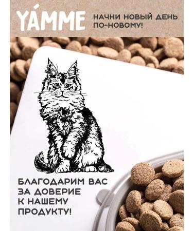 Yamme Dry food for sterilized large cats 2 kg of Yammi - Buy Online on GoSupps.com
