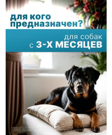 Elanco Collar Kilts for small dogs 35 cm - Buy Online on GoSupps.com