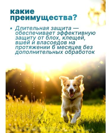 Elanco Collar Kilts for large dogs 66 cm - Buy Online on GoSupps.com