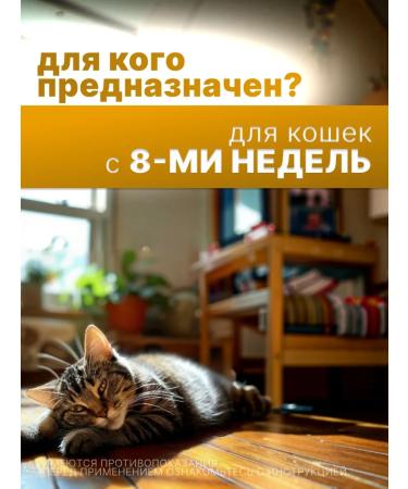 Elanco Drops Profender for cats from 5 to 8 kg 2 peep - Buy Online on GoSupps.com