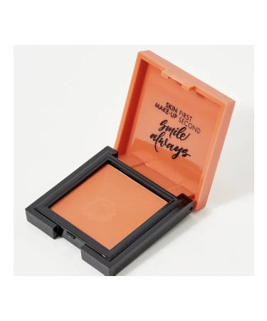 Pastel Cosmetics Creamy blush for face 44