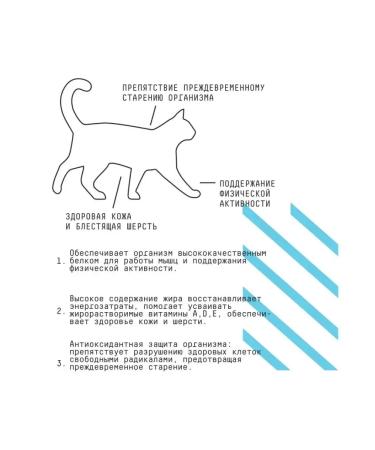 AJO Dry food for adult cats 1.5 kg - Buy Online on GoSupps.com