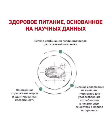 ROYAL CANIN Satiety Weight Management for cats 1.5 kg Satetici - Buy Online on GoSupps.com