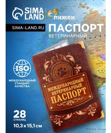 International vet passport "Paw" 10 3 x 15 1 cm