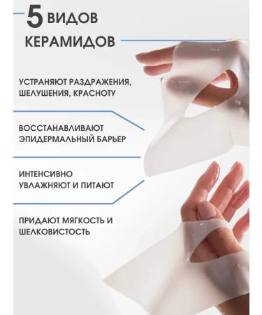 BIODANCE A set of facial masks of hydrogel night with cramids 4 pcs - Buy Online on GoSupps.com