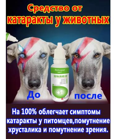 Drops from cataracts for cats and dogs 40 ml
