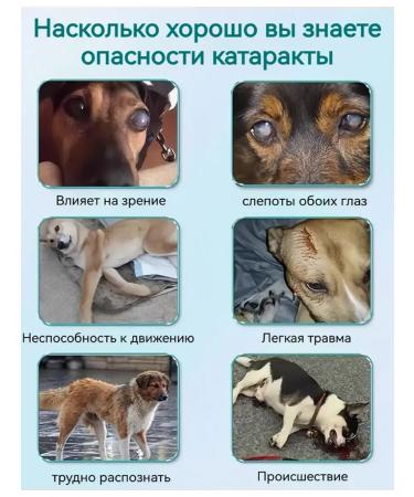 Drops from cataracts for cats and dogs 40 ml - Buy Online on GoSupps.com