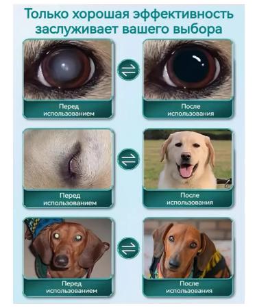 Drops from cataracts for cats and dogs 40 ml - Buy Online on GoSupps.com