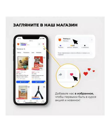 Miratorg Dry food for kittens aged 1 to 12 months chicken 1.5 kg - Buy Online on GoSupps.com