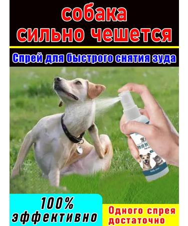 Spray from itching the dog constantly itch 100 ml