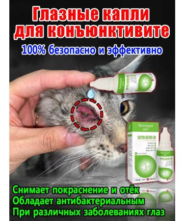 Drops for cats and dogs from conjunctivitis and lacrimal paths