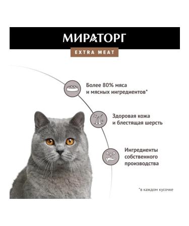 Miratorg Spider for cats with sensitive foods. with veal 80 g - Buy Online on GoSupps.com