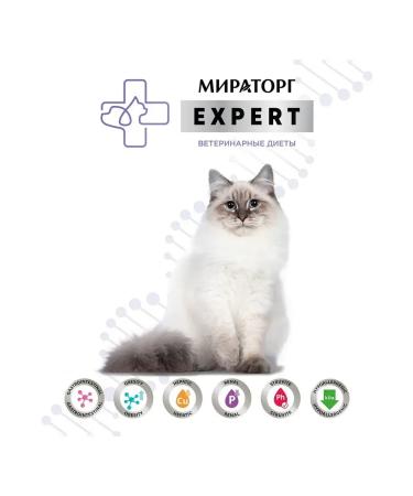 Miratorg Spiders for cats "Bereday care for digestion" 80 grams - Buy Online on GoSupps.com