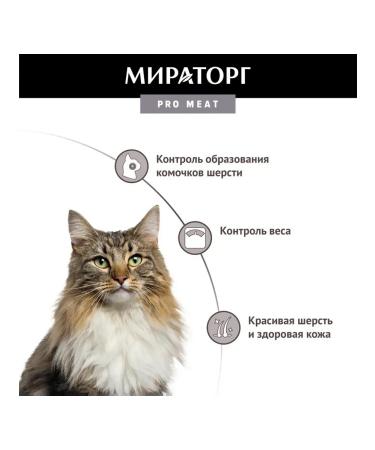 Miratorg Spider for cats for the health of wool with beef 80 gr - Buy Online on GoSupps.com