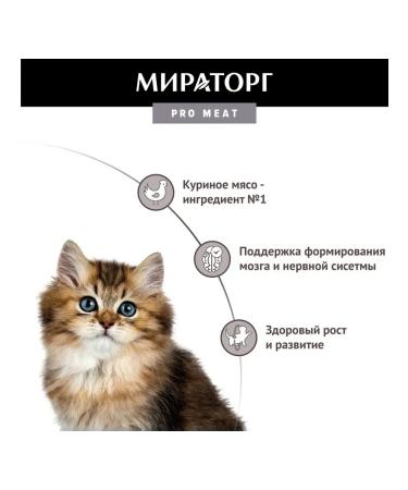 Miratorg Spider for kittens with chicken breast 80 gr - Buy Online on GoSupps.com