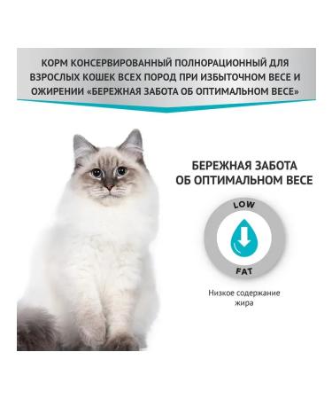 Miratorg Spider for cats "Caring for the optimal weight" 80 gr - Buy Online on GoSupps.com