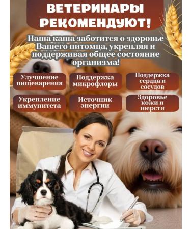 3 kg dog porridge - Buy Online on GoSupps.com