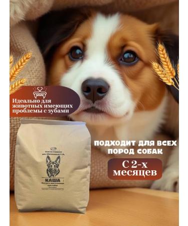 porridge for dogs 10 kg - Buy Online on GoSupps.com