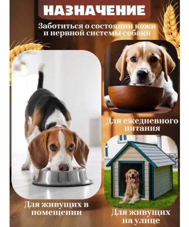 porridge for dogs 10 kg - Buy Online on GoSupps.com