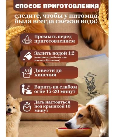 porridge for dogs - Buy Online on GoSupps.com