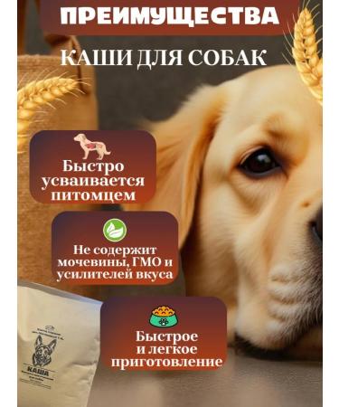 porridge for dogs - Buy Online on GoSupps.com