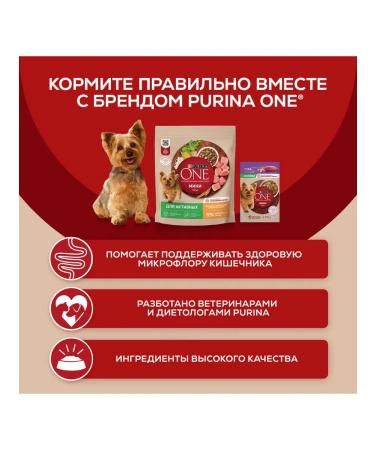 PURINA ONE Dog food sensitive digestion salmon 85 g 18pcs - Buy Online on GoSupps.com