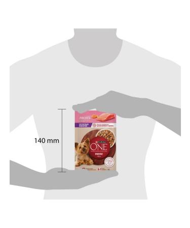 PURINA ONE Dog food sensitive digestion salmon 85 g 18pcs - Buy Online on GoSupps.com
