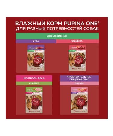 PURINA ONE Dog food sensitive digestion salmon 85 g 18pcs - Buy Online on GoSupps.com