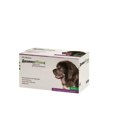 KRKA Dehinel plus tablets for large dogs No. 2 (04.2026) - Buy Online on GoSupps.com