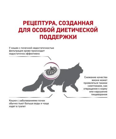 ROYAL CANIN Renal Special Cat Forms Dry 2 kg - Buy Online on GoSupps.com