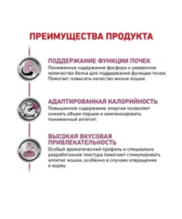 ROYAL CANIN Renal Special Cat Forms Dry 2 kg - Buy Online on GoSupps.com