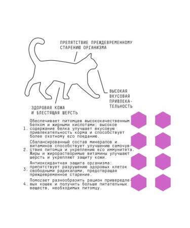 AJO Dry food for cats and kittens with a turkey 1.5 kg - Buy Online on GoSupps.com