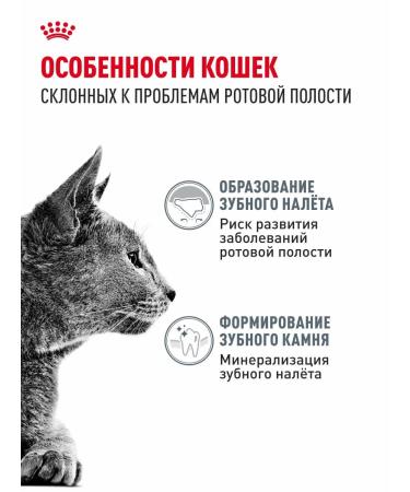 ROYAL CANIN Dental Care cats Dental KEA 0.4 kg - Buy Online on GoSupps.com