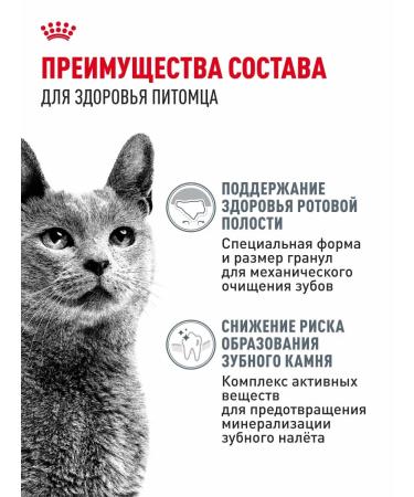 ROYAL CANIN Dental Care cats Dental KEA 0.4 kg - Buy Online on GoSupps.com