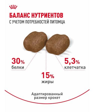 ROYAL CANIN Dental Care cats Dental KEA 0.4 kg - Buy Online on GoSupps.com