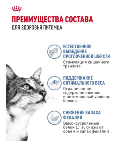 ROYAL CANIN Cat food Indoor Indodor 0.4 kg - Buy Online on GoSupps.com