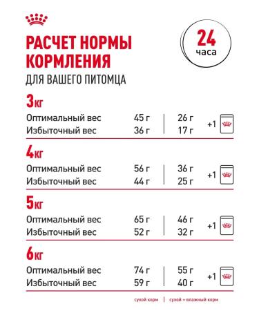 ROYAL CANIN Cat food Indoor Indodor 0.4 kg - Buy Online on GoSupps.com