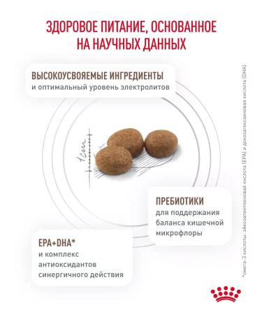 ROYAL CANIN Dry food for cats GastroinTestinal Therapeutic 2 kg - Buy Online on GoSupps.com