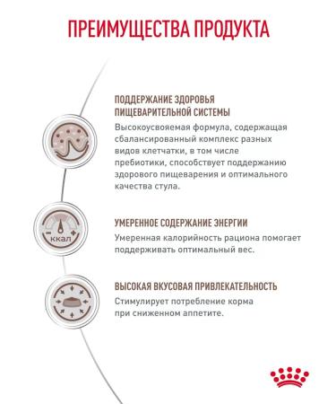 ROYAL CANIN Dry food for cats GastroinTestinal Therapeutic 2 kg - Buy Online on GoSupps.com