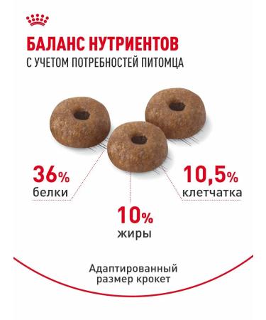 ROYAL CANIN Cat food Light Weight Care Light Vate Kea 0.4 kg - Buy Online on GoSupps.com